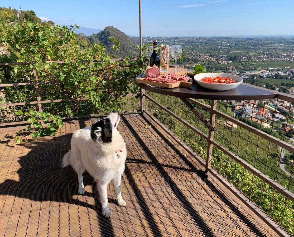 Rustico Costa D'Oro Villa Farra di Soligo Dış mekan fotoğraf