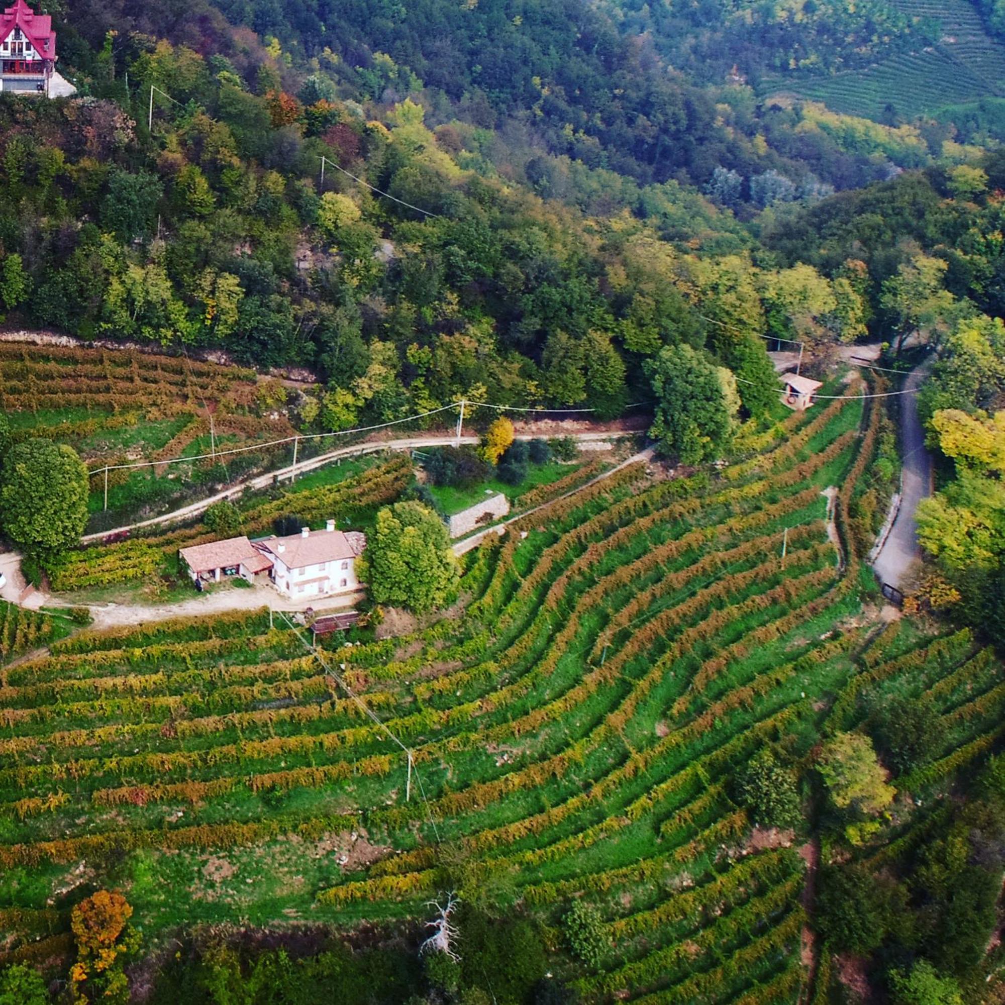 Rustico Costa D'Oro Villa Farra di Soligo Dış mekan fotoğraf